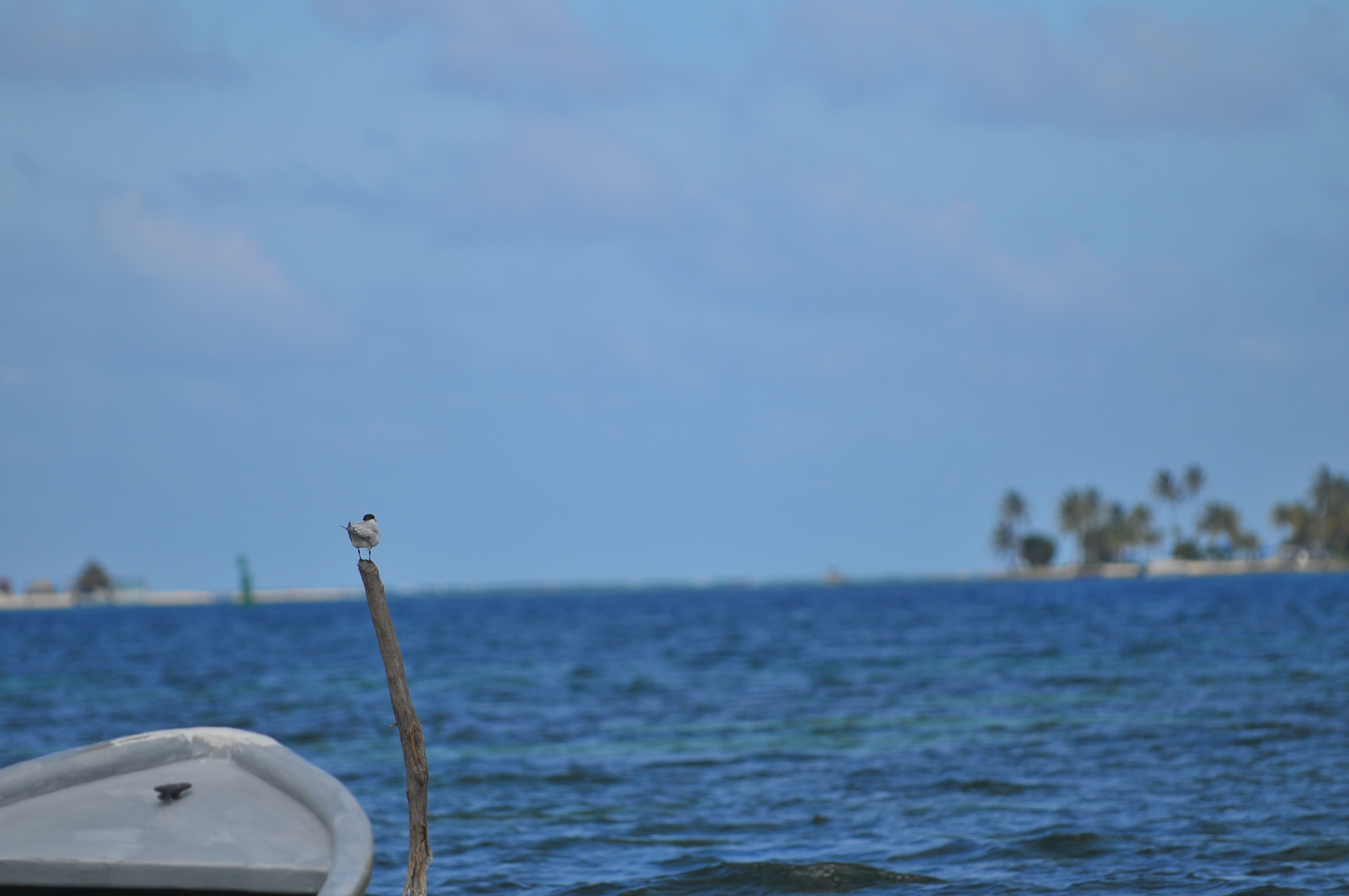 San Andrés y Providencia: IDEAM eleva alarma a potencial ciclón tropical