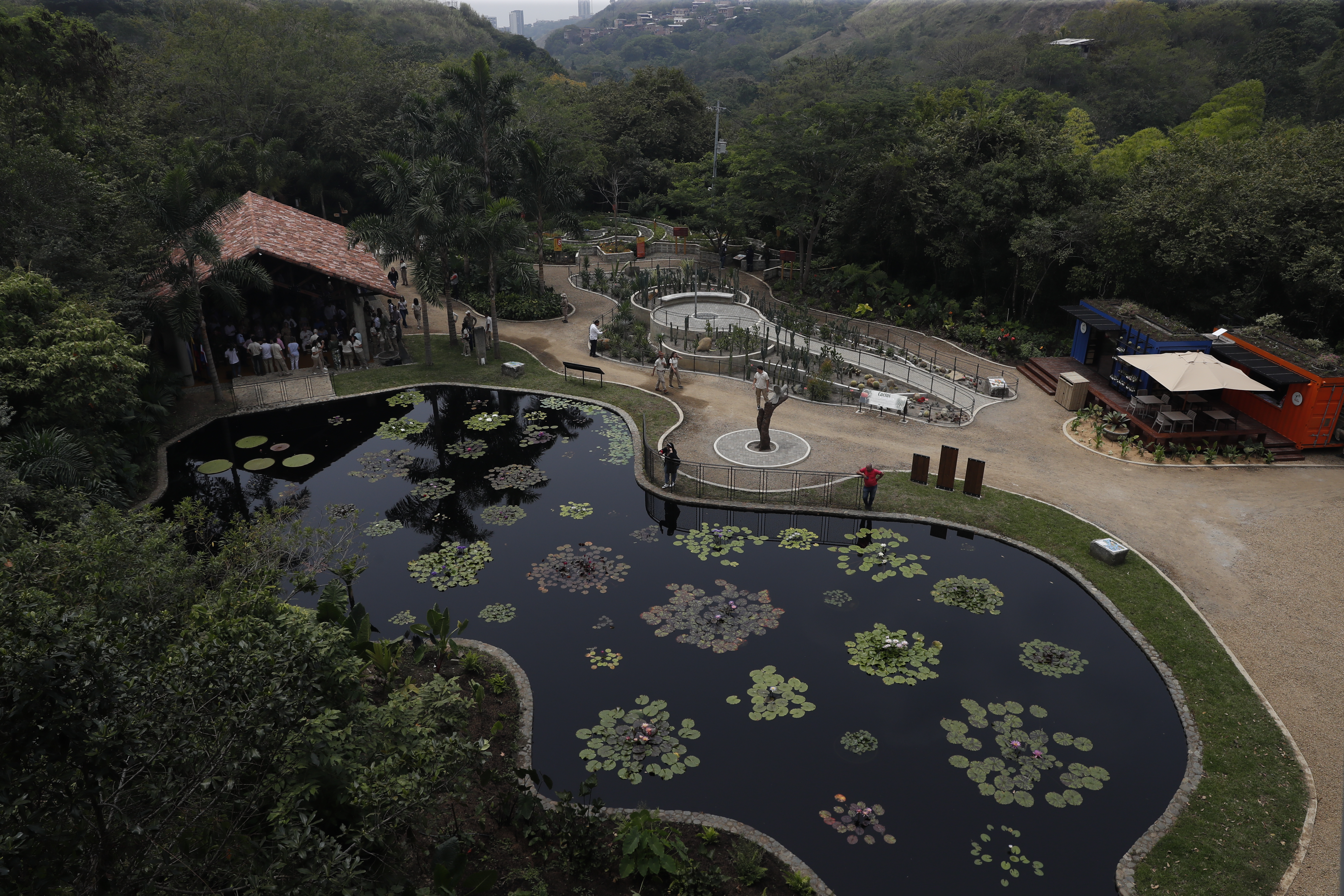 AME5714. CALI (COLOMBIA), 31/08/2023.- Fotografía del Jardín Botánico de Cali, hoy, en Cali (Colombia). El Jardín Botánico de Cali abre sus puertas al público para entregarle a la ciudad un espacio único de "disfrute y reconexión de la naturaleza", en un enclave privilegiado, el bosque seco tropical, uno de los ecosistemas más en peligrosos de Colombia. EFE/ Ernesto Guzmán