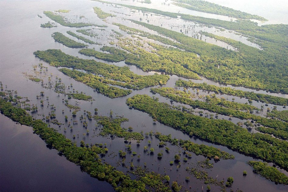 Cuenca del Amazonas 