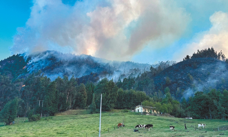 Se declarará calamidad pública en Cundinamarca por situación de incendios forestales