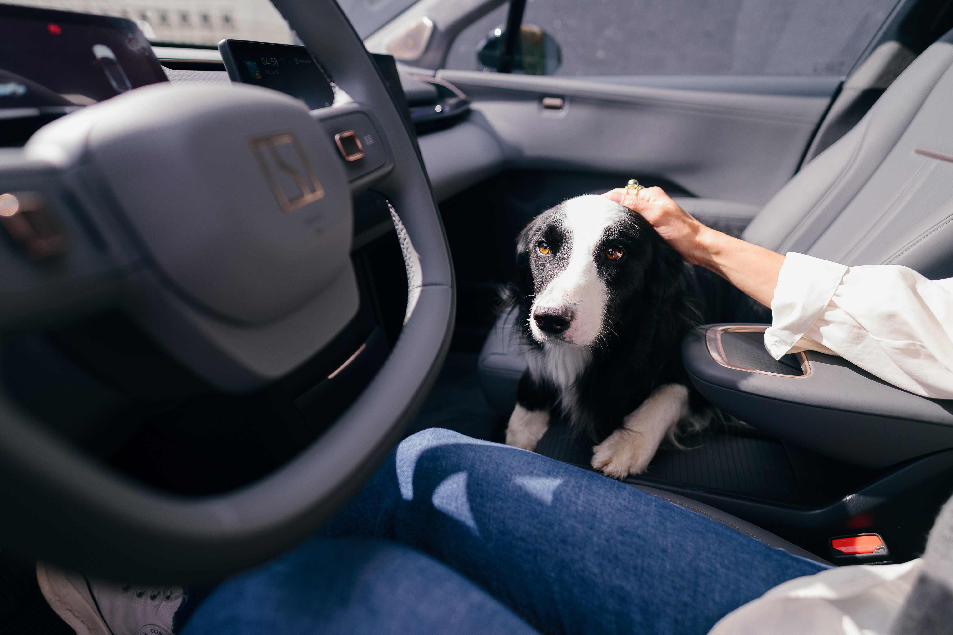 El nuevo Modo Mascota de los carros eléctricos de Zeekr que protege a los animales