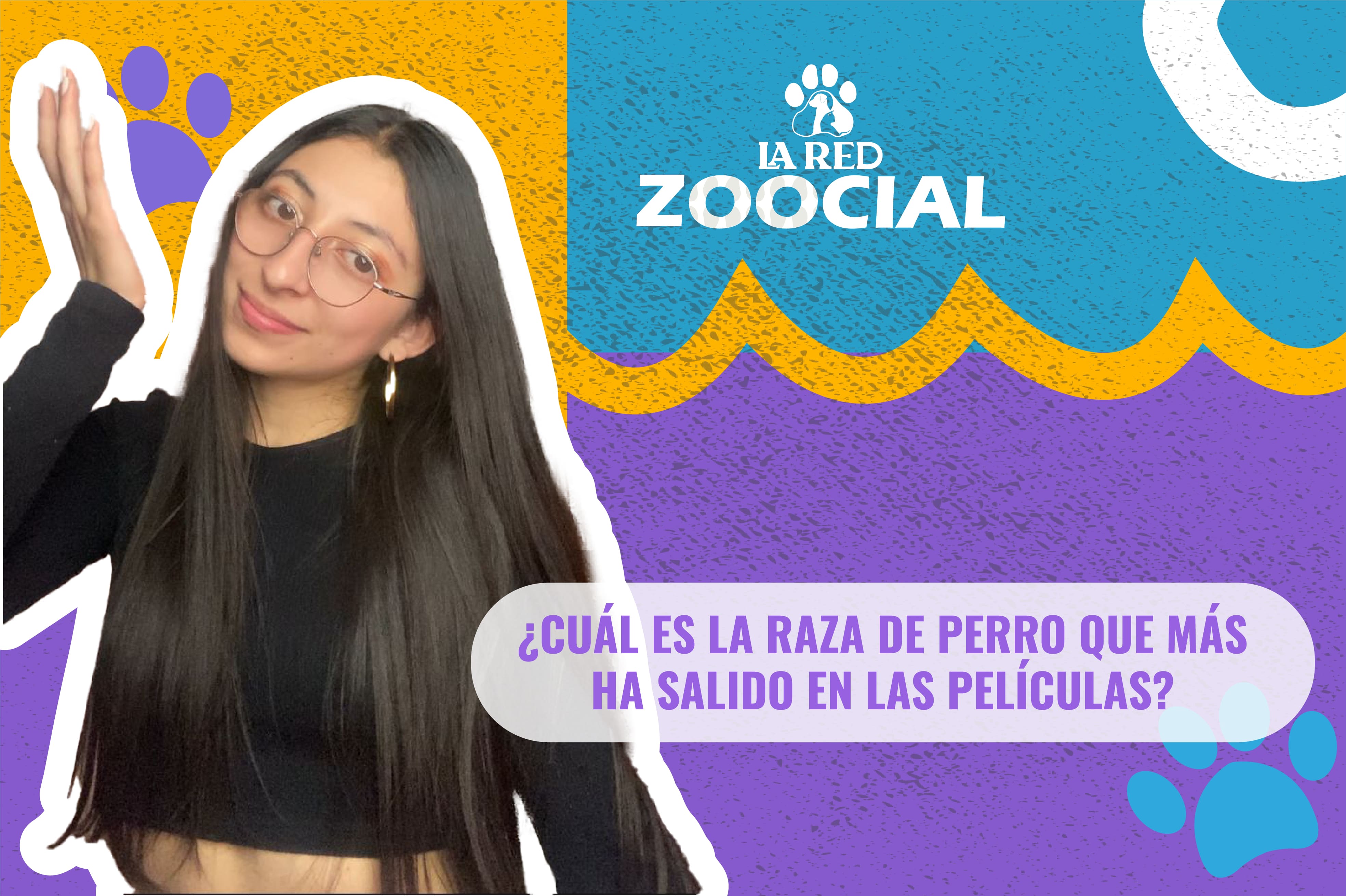 ¿Cuál es la raza de perro que más ha salido en series y películas?