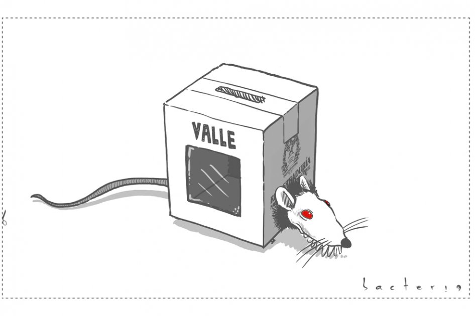 Fraude electoral