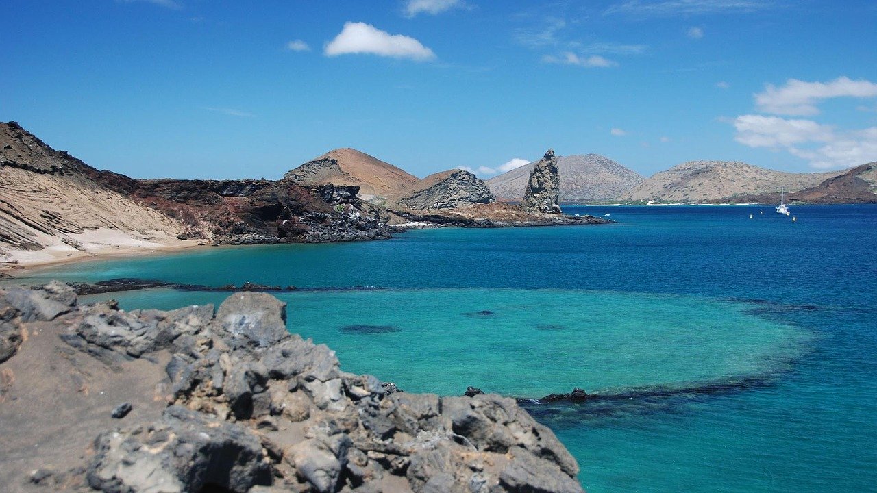 Especies que estaban desaparecidas volverán a islas Galápagos