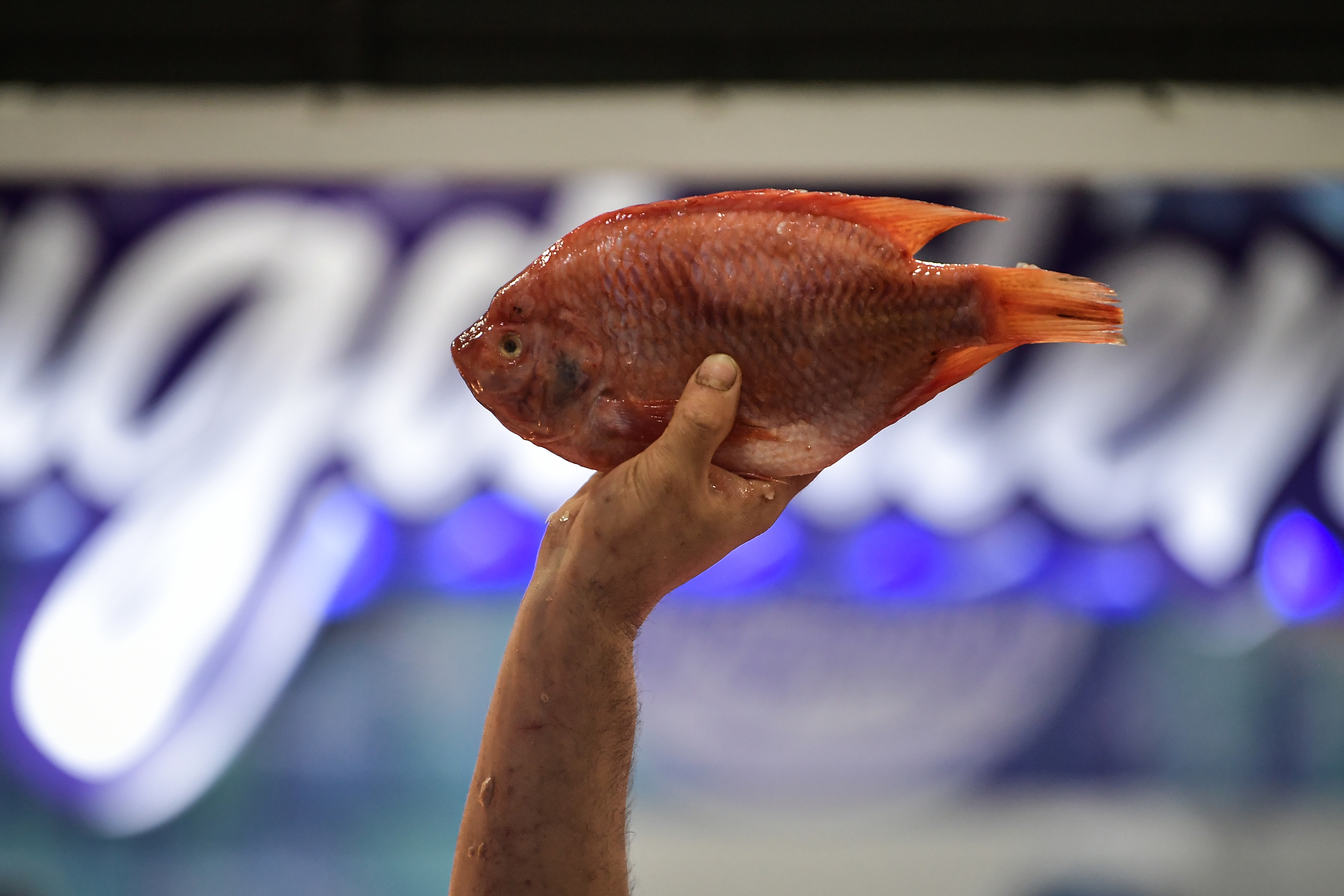 Venta de pescado en Semana Santa en la Plaza del Restrepo de Bogotá