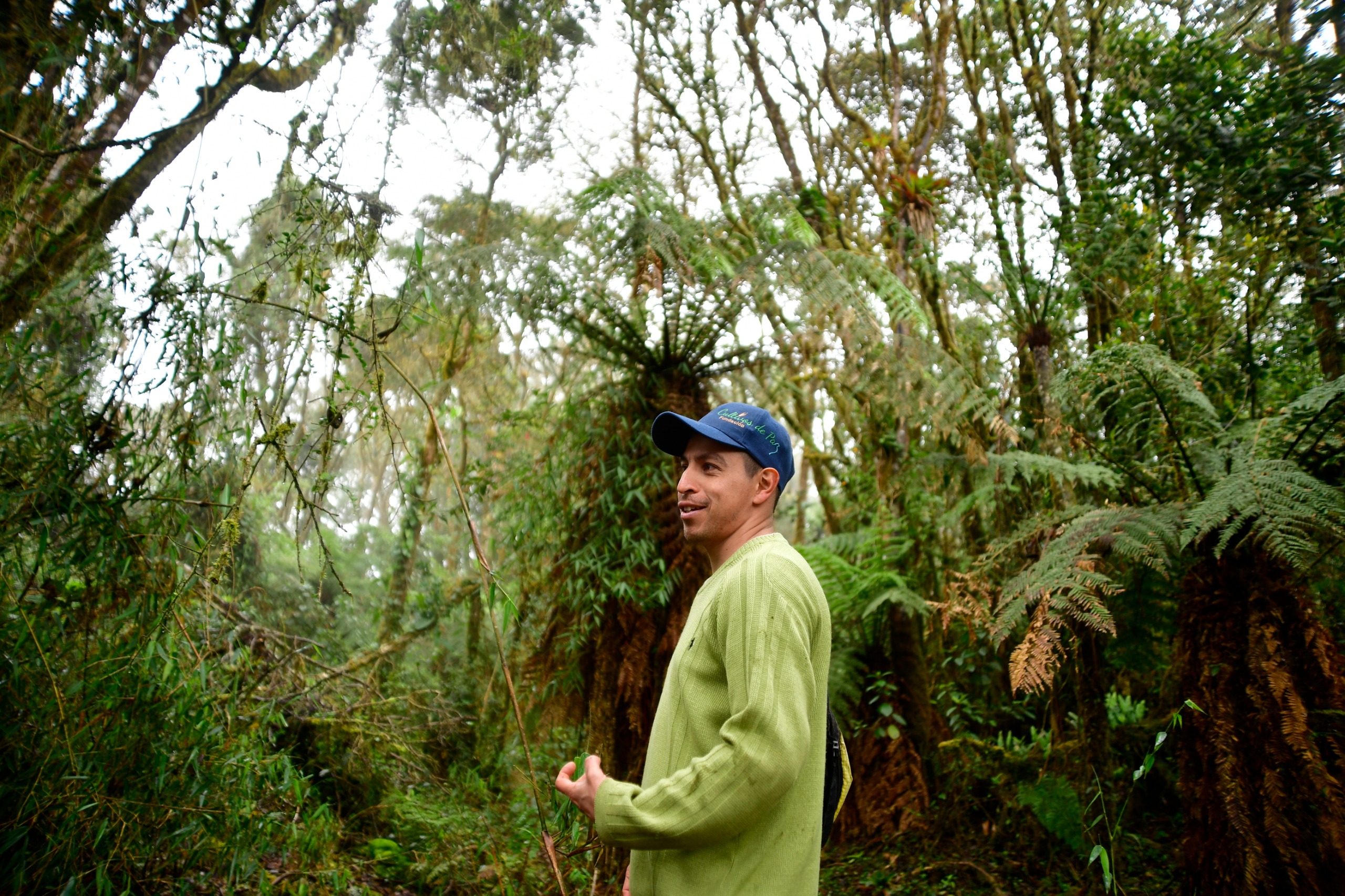 Jaime Avellanada en el bosque alto andino que protege junto a su mamá, en la finca El Palmar.