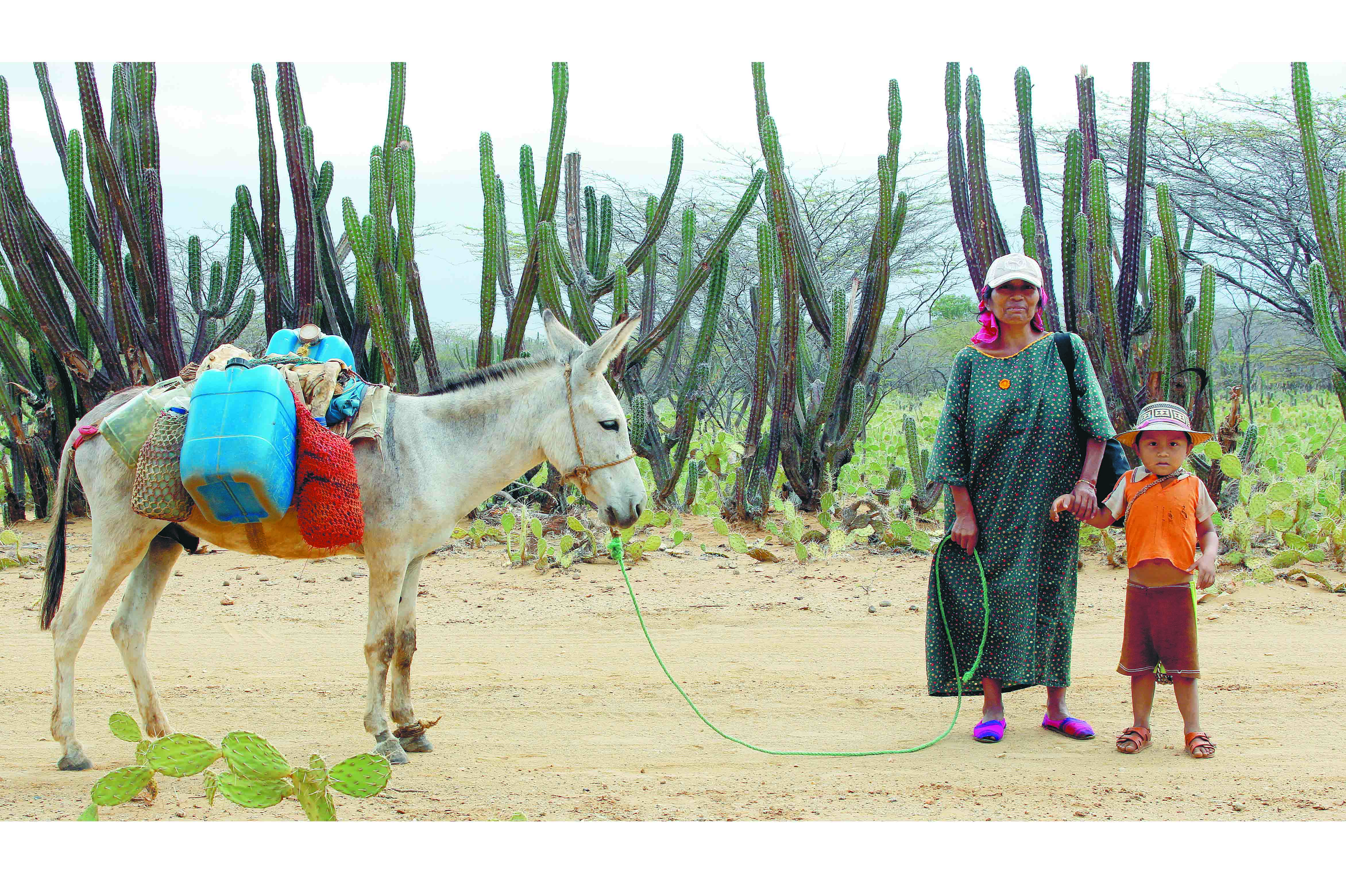 Una alternativa para no morir de sed en La Guajira