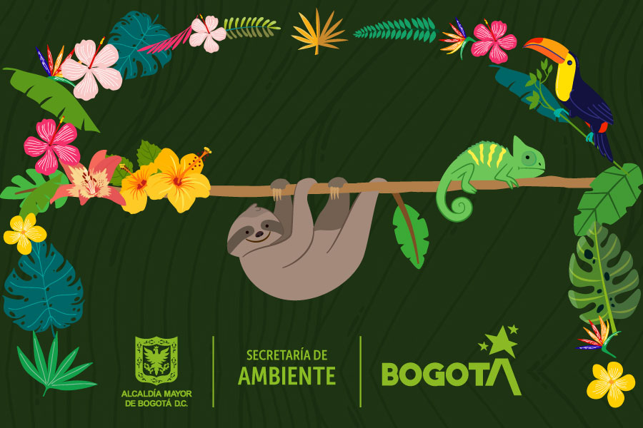 Bogotá buscará proteger y potenciar su biodiversidad en esta administración