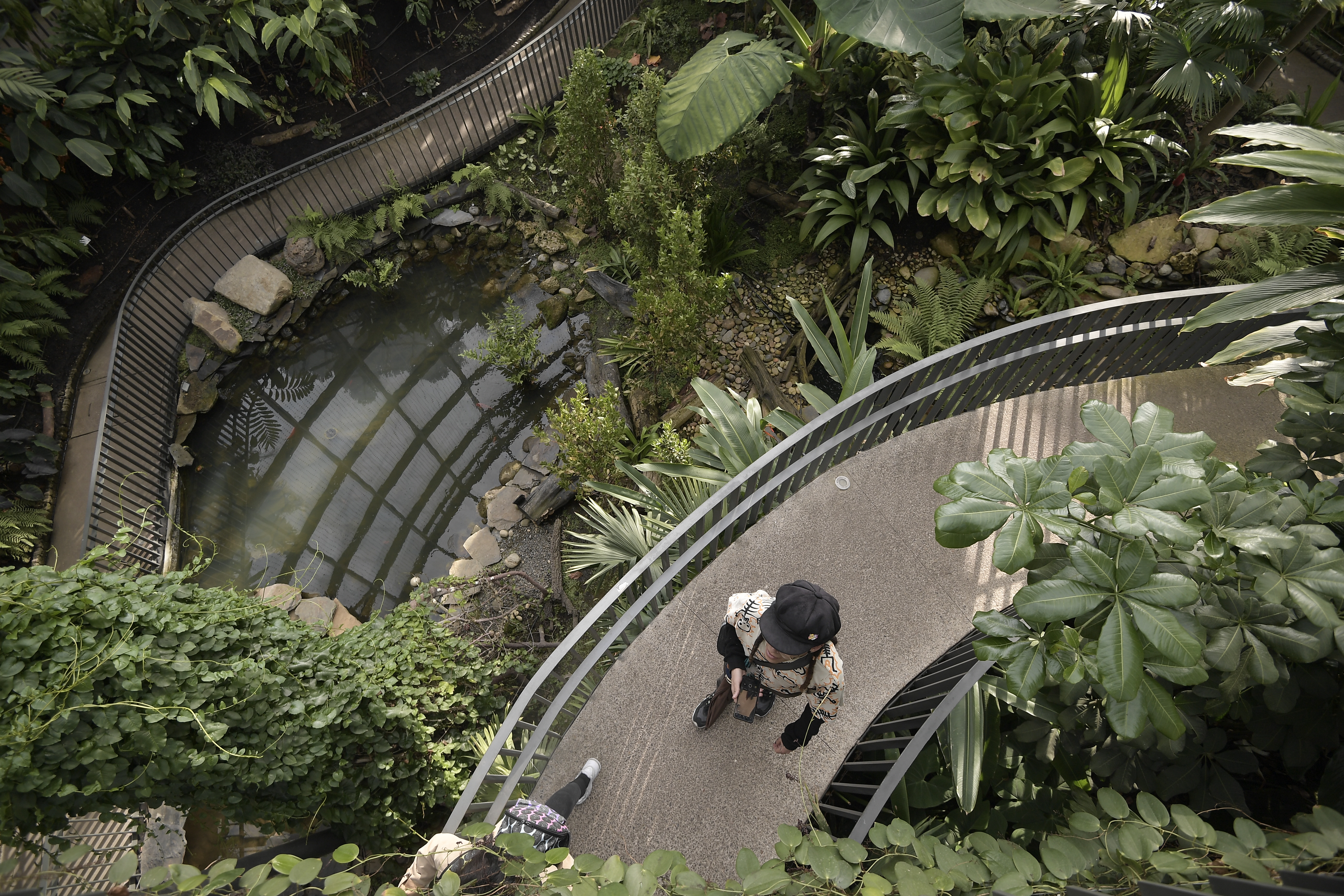 Cinco jardines botánicos imperdibles para visitar en Colombia