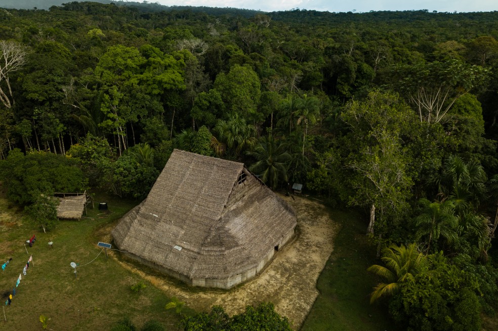 Solo el 3% de la superficie terrestre está ecológicamente intacta, revela estudio