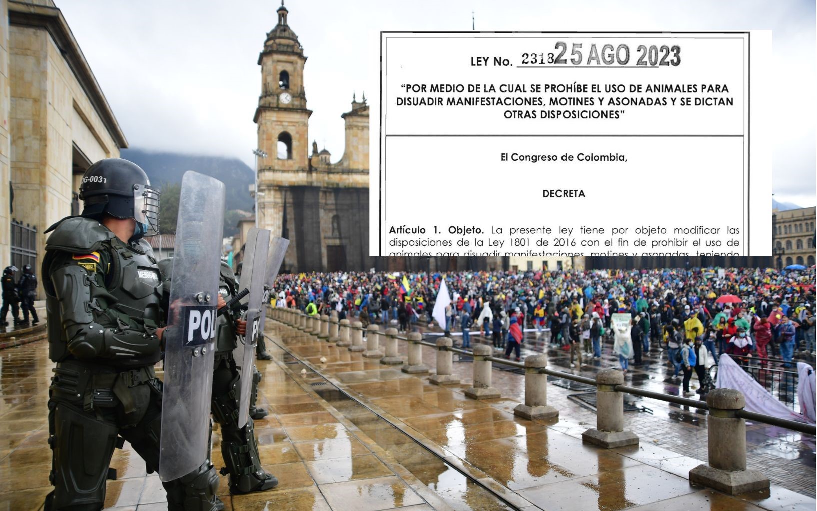 Es ley: ya está prohibido que los animales sean utilizados para controlar protestas