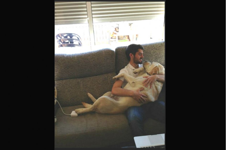 Jugador del Real Madrid le puso ‘Messi’ a su perro
