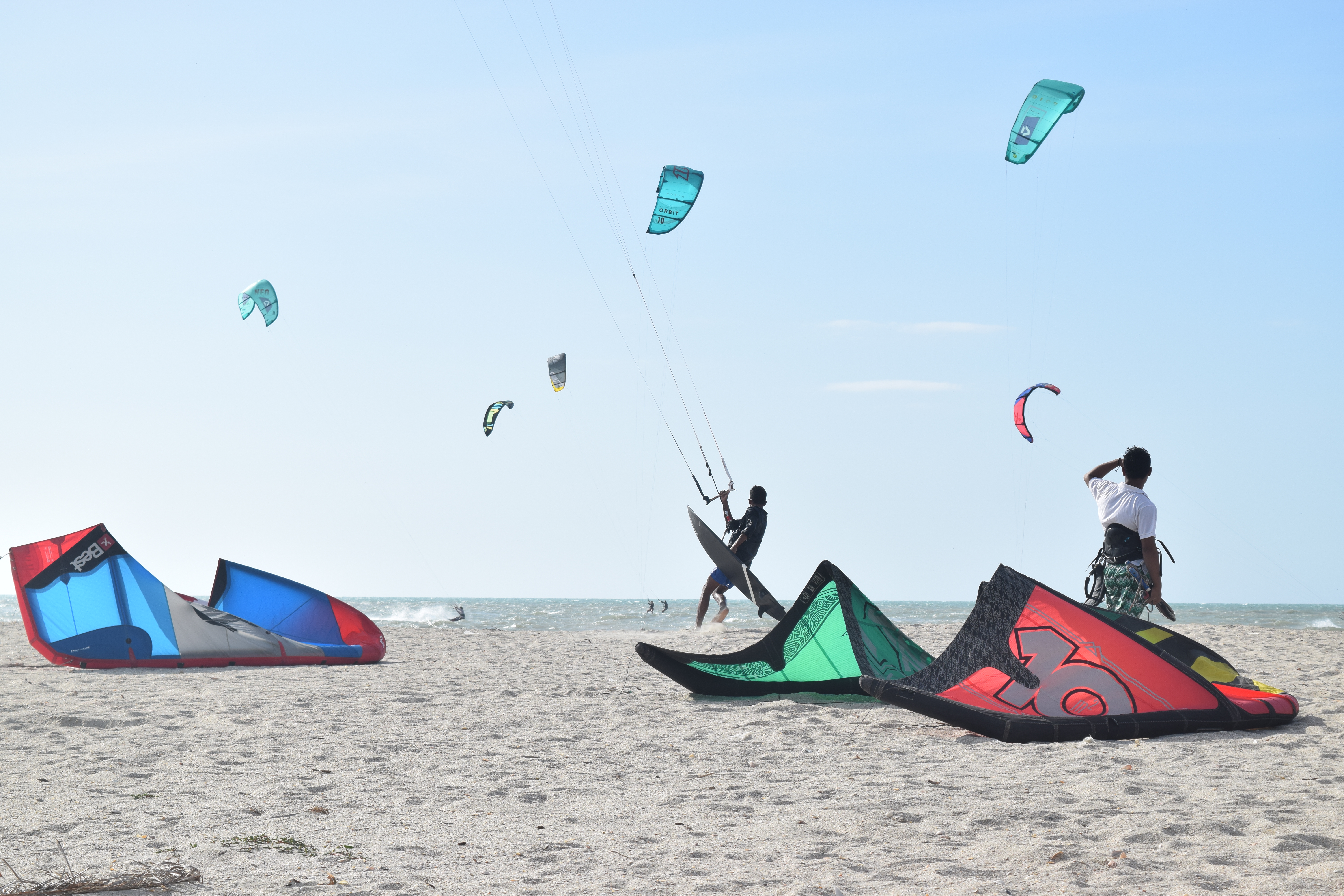 Riohacha cuenta con diferentes ecosistemas como bosque seco, montañas, lagunas costeras, manglares y playas.