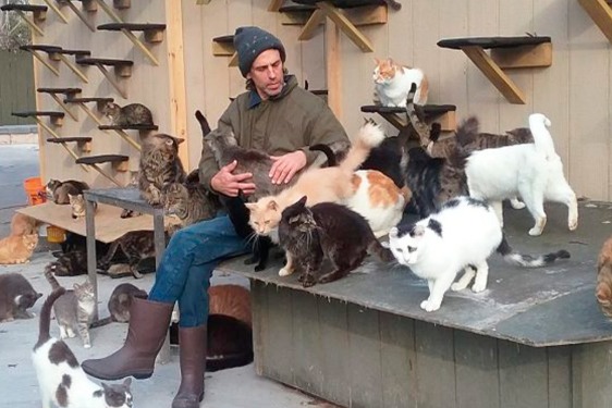 Fundador de refugio muere intentando salvar a los gatos de un incendio