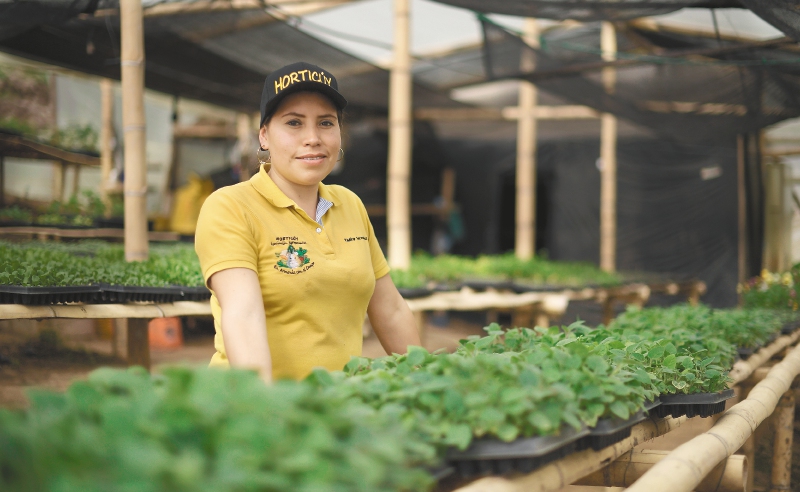 Las apuestas de Nariño para construir una paz integral y lograr el desarrollo