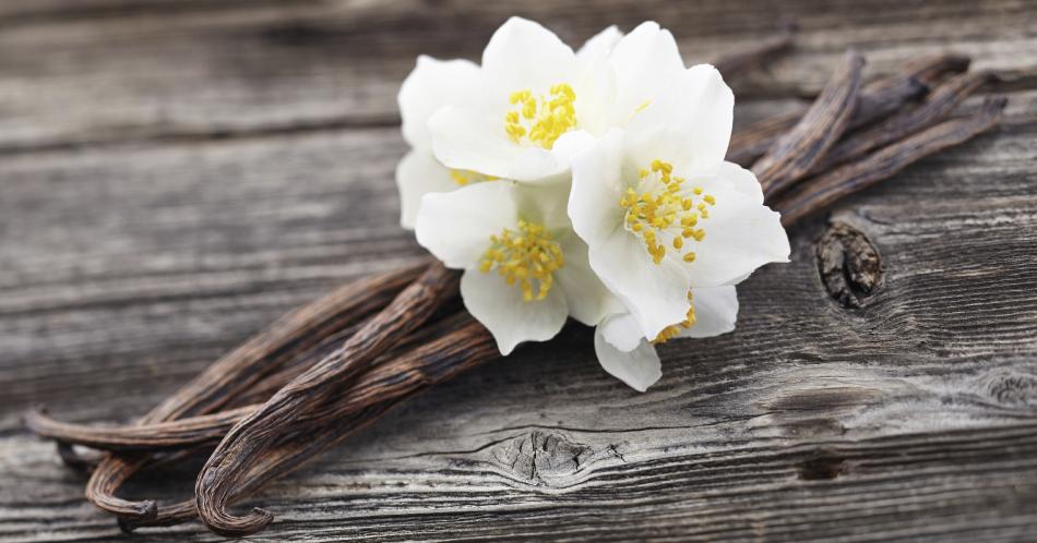 Aprende a preparar un perfume natural de vainilla