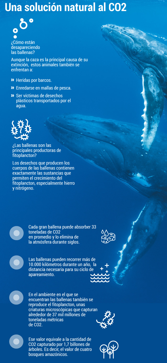Una solución natural al CO2El Espectador