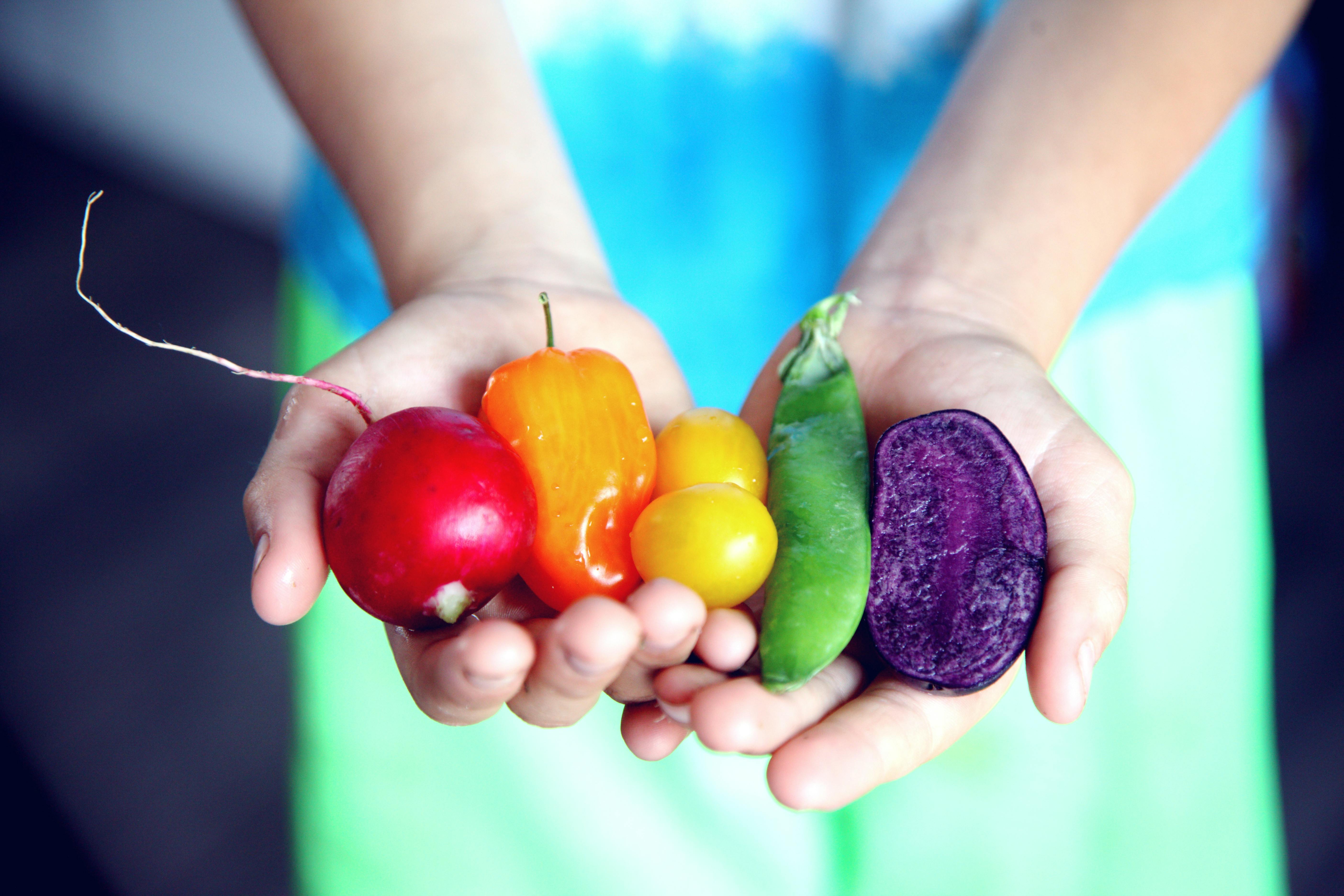 Foro Gastronómico Internacional de Alimentarte: fechas y programación del evento