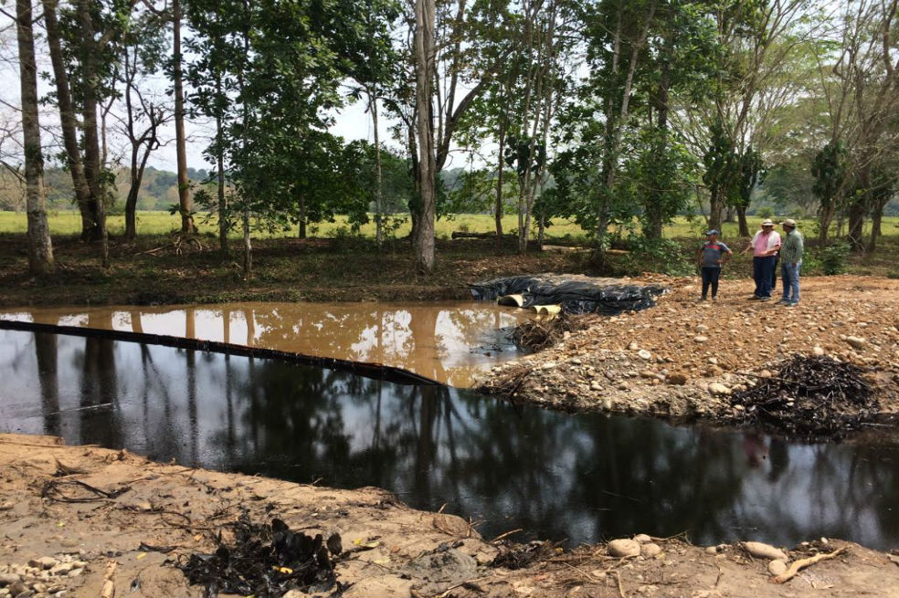 Comunidad de La Fortuna denuncia nuevos afloramientos de petróleo