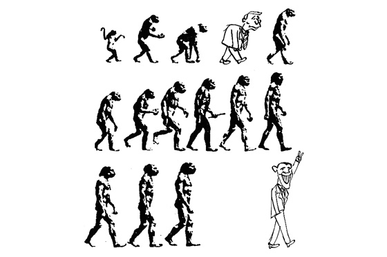Evolución