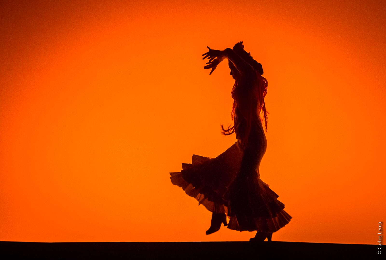 Cante, palos y quejíos