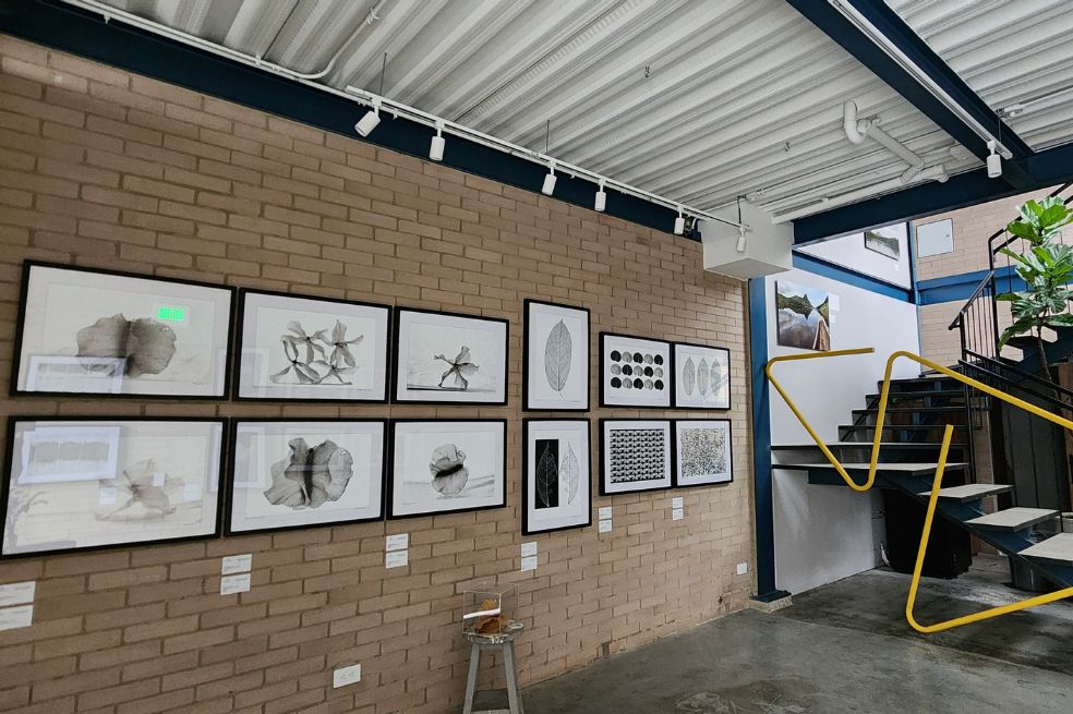 El Azulejo: un nido para el nacimiento y el vuelo del arte