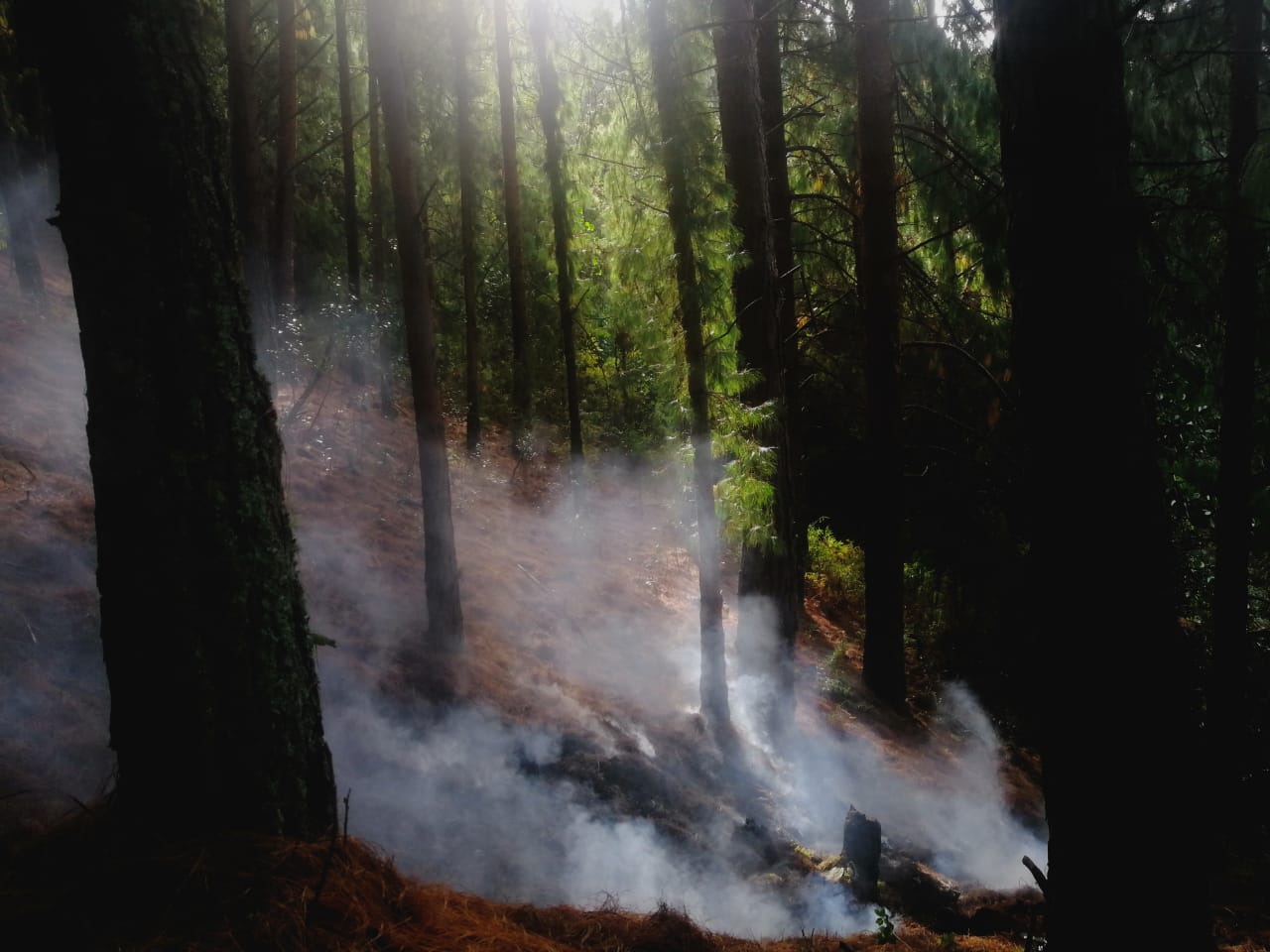 Se presenta un incendio en quebrada La Vieja en su segundo día reapertura