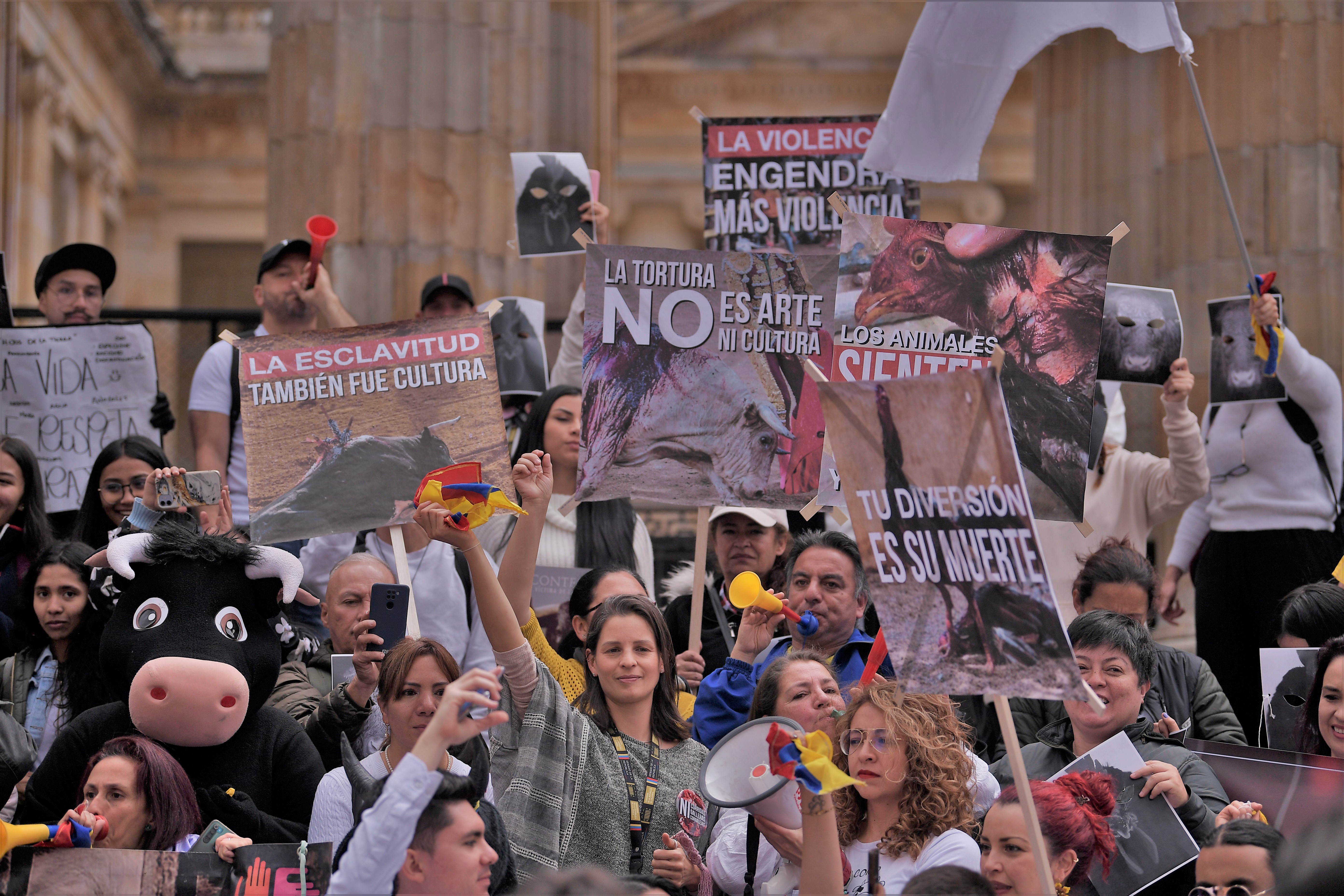 Progresividad: la clave para prohibir corridas de toros y otras practicas crueles