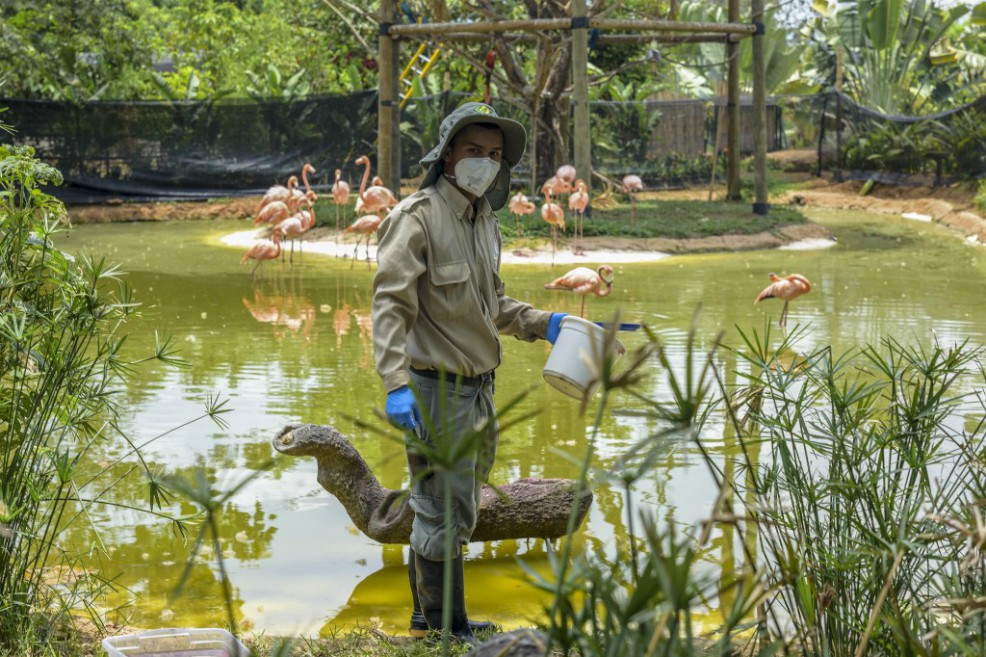 Uno de los funcionarios del Bioparque Ukumari durante la pandemia.