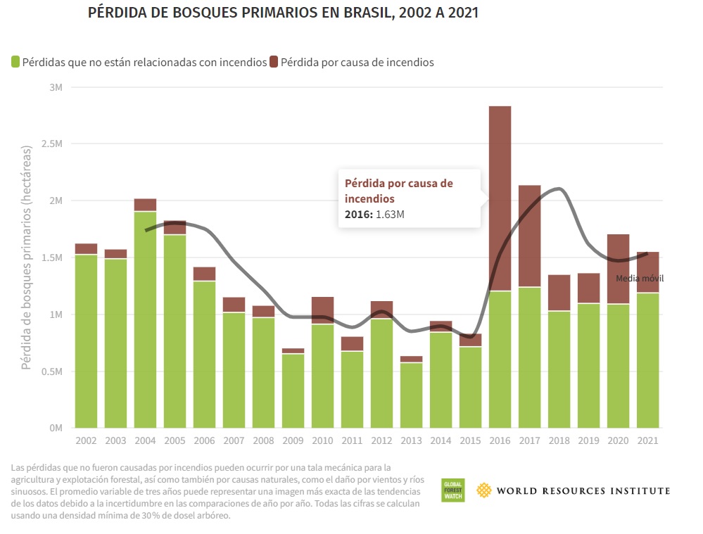 Pérdida de bosque primario en Brasil.