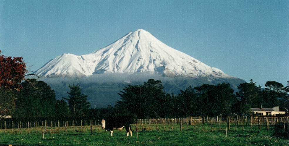 Wikimedia Commons