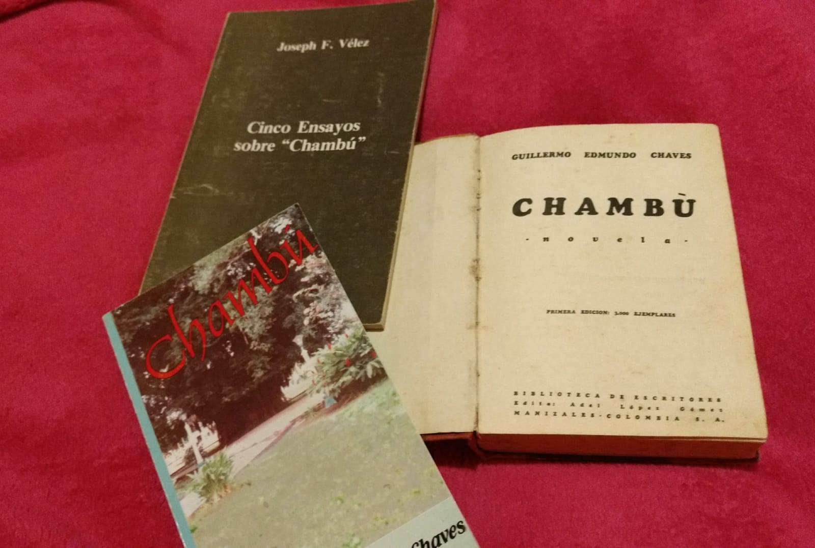 Cinco ensayos sobre Chambú