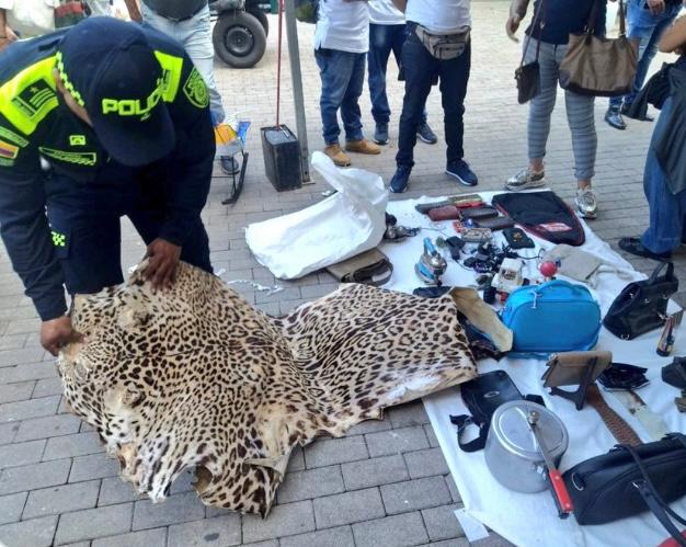 Piel de jaguar que iba a ser comercializada fue incautada en centro de Medellín