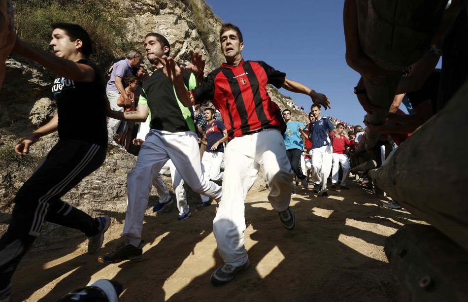 Los toros de Tafalla