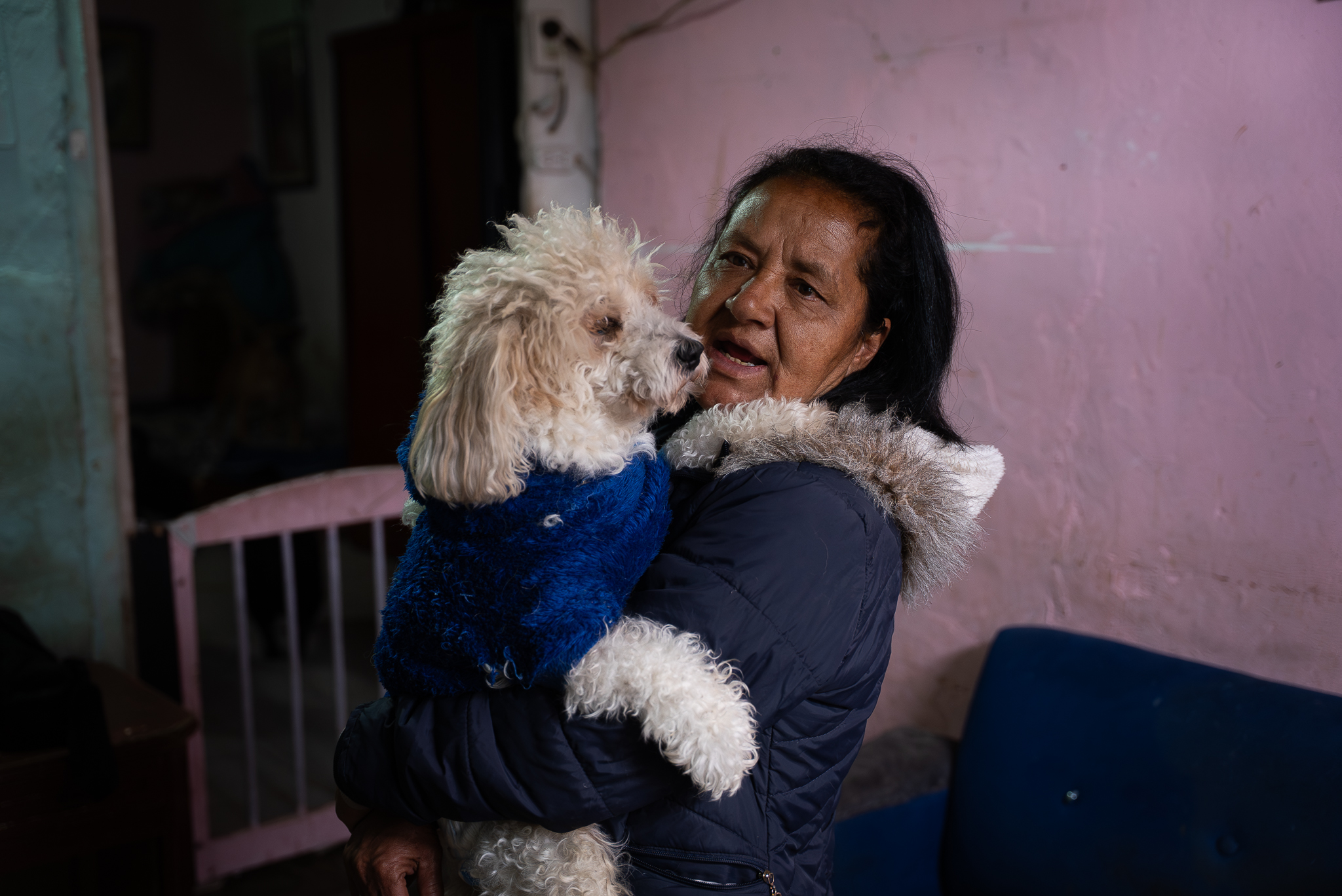 Peluditos Luzma