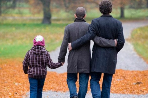 No existe ningún riesgo en salud y bienestar de menores por adopción de homosexuales: Minsalud