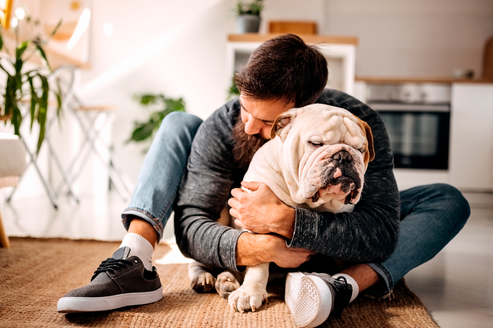 Consejos para elegir la mejor cama de tu perro