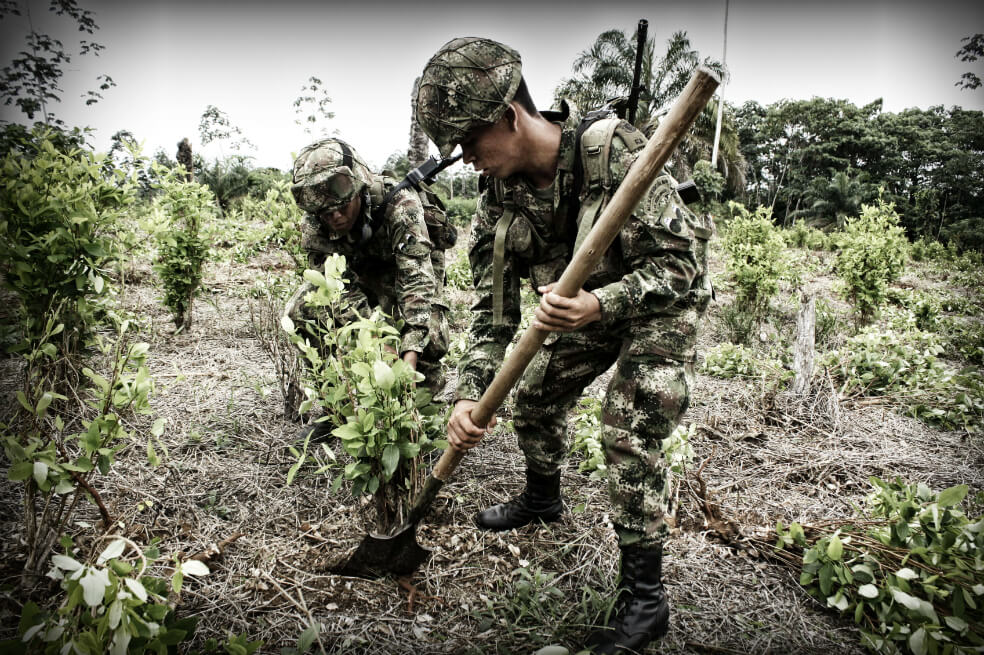 Fuerzas Militares ponen en la mira el motor de la violencia en Colombia: el narcotráfico