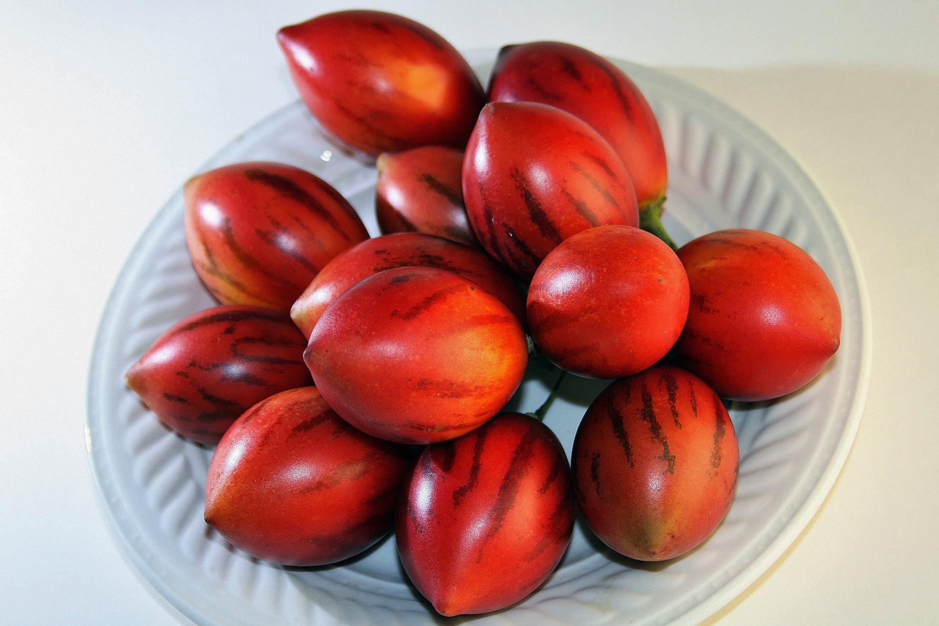 Tomate de árbol: la fruta exótica andina que puede cultivar en casa