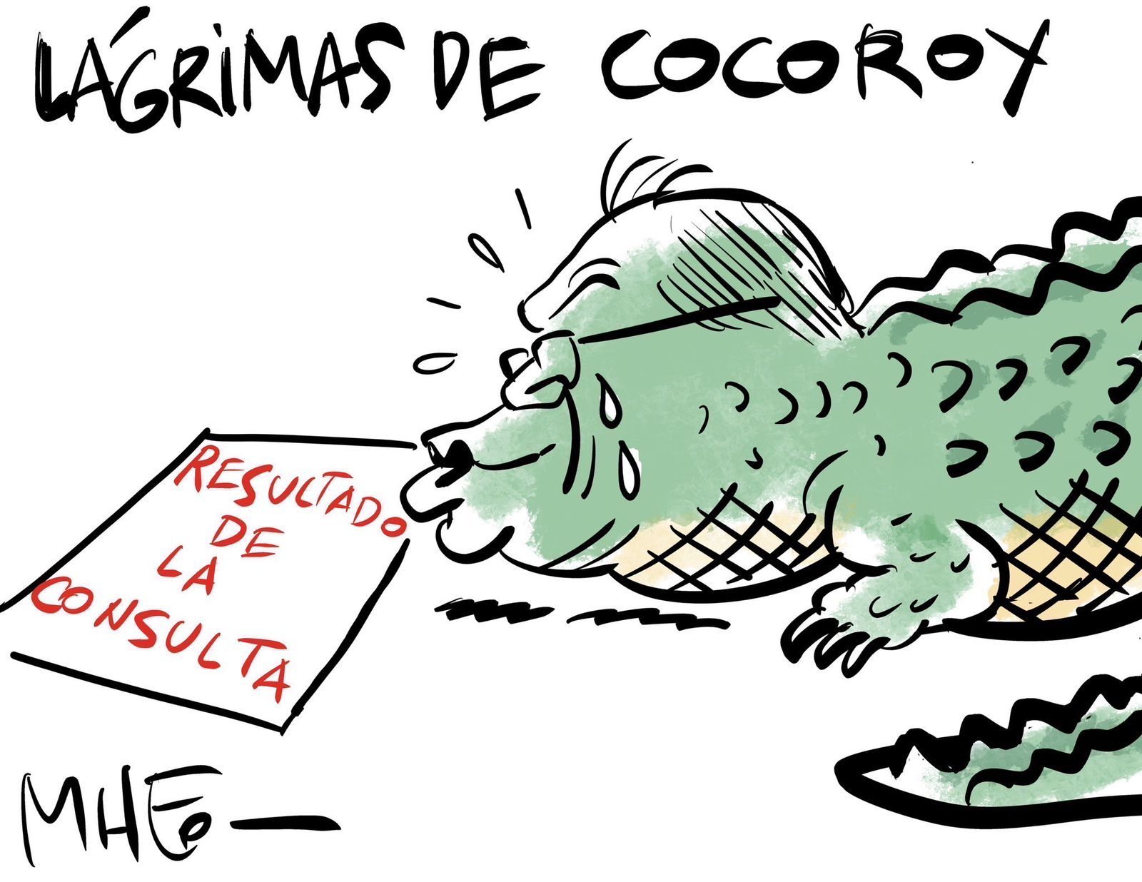 Lágrimas de Cocoroy.