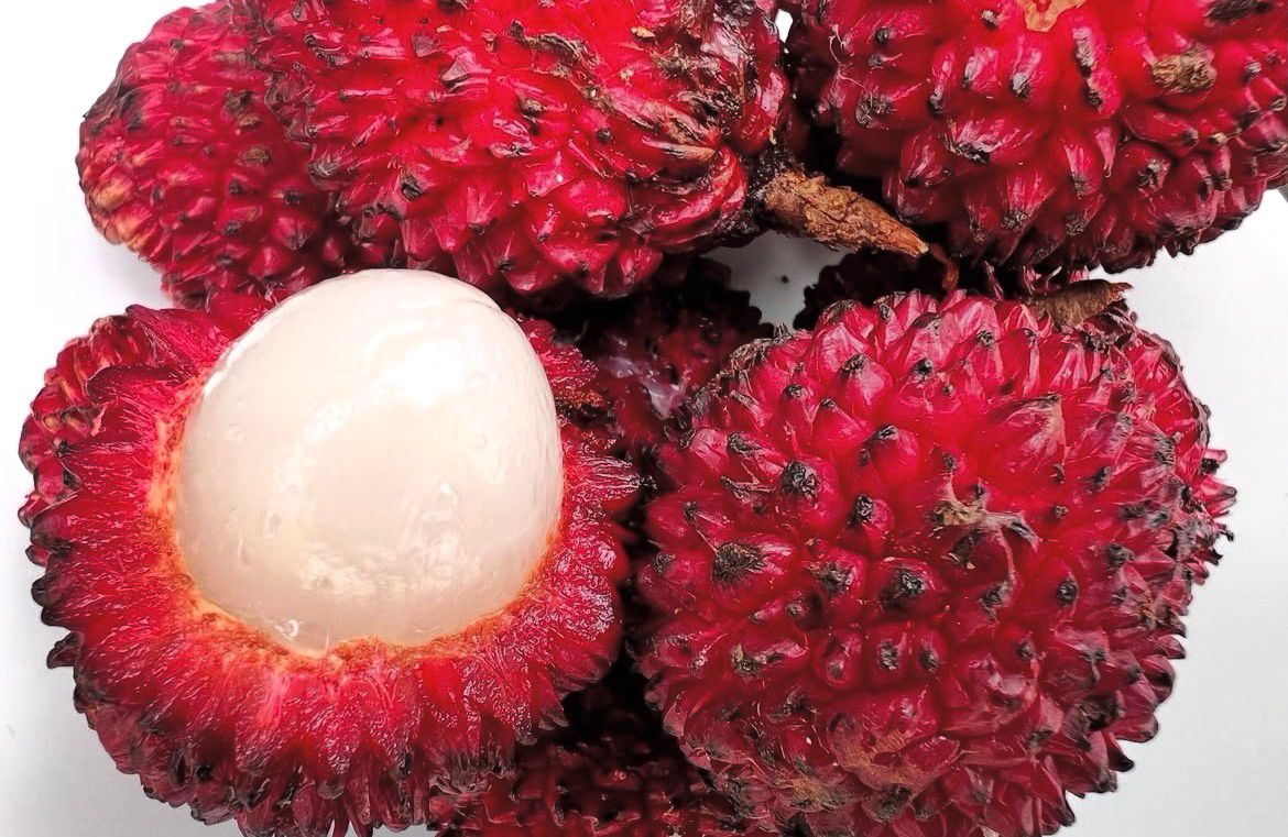 Colombia tiene más de 200 frutas en el país y esta guía las detalla todas