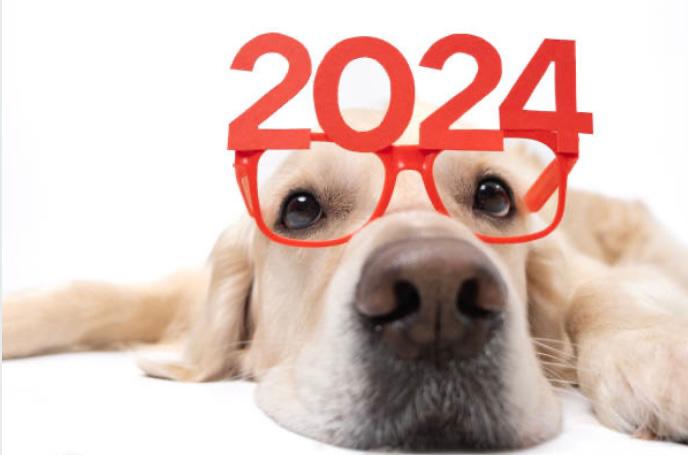 Tres propósitos de Año Nuevo para ayudar a los animales