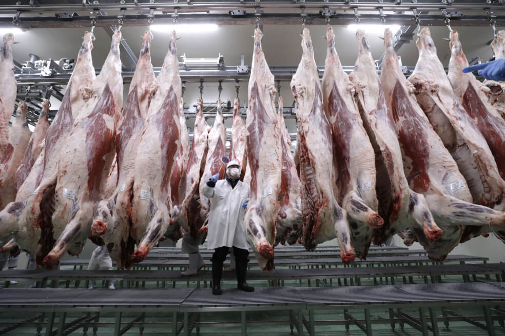 Primer envío de carne bovina colombiana a Arabia Saudita