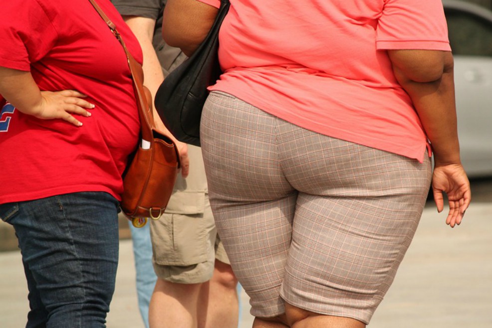 Un estudio apunta que los adultos obesos con gripe tardan más tiempo en eliminar el virus