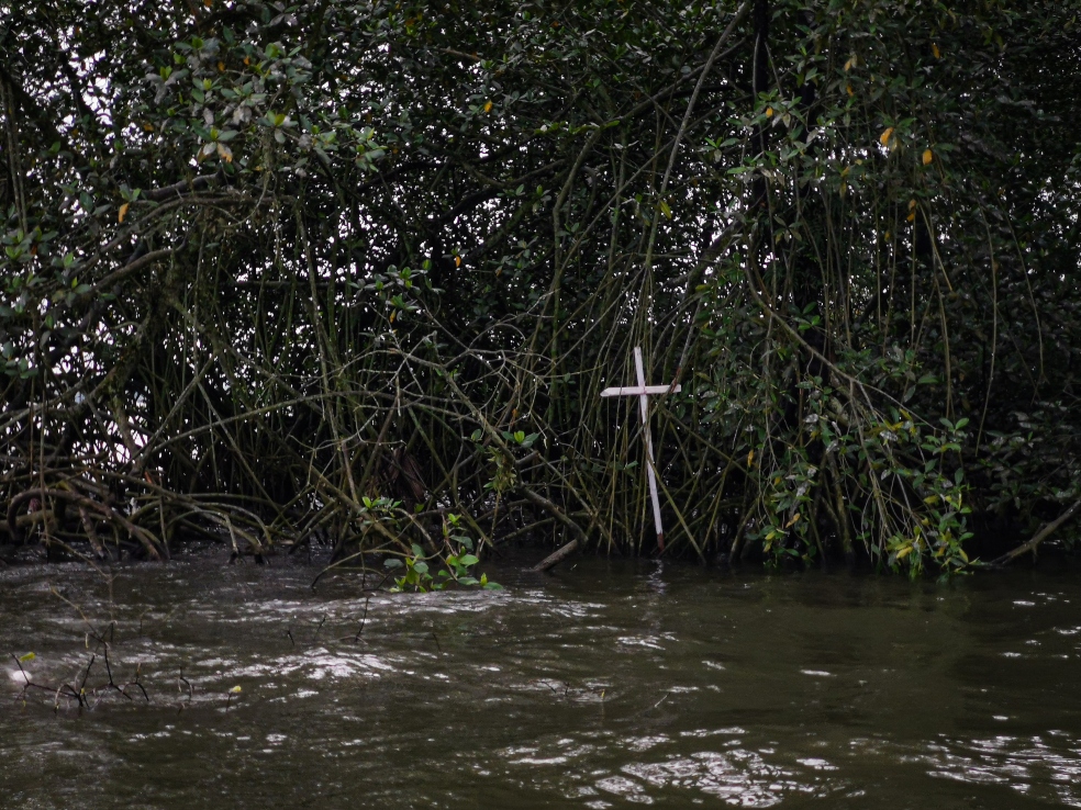 foto de un cruz dentro de un manglar
