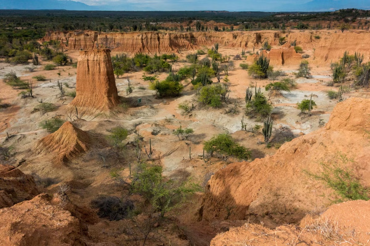 A pesar de que en realidad es un bosque seco tropical, el desierto de La Tatacoa es conocido por sus impresionantes paisajes, sus formaciones rocosas y su cielo estrellado.