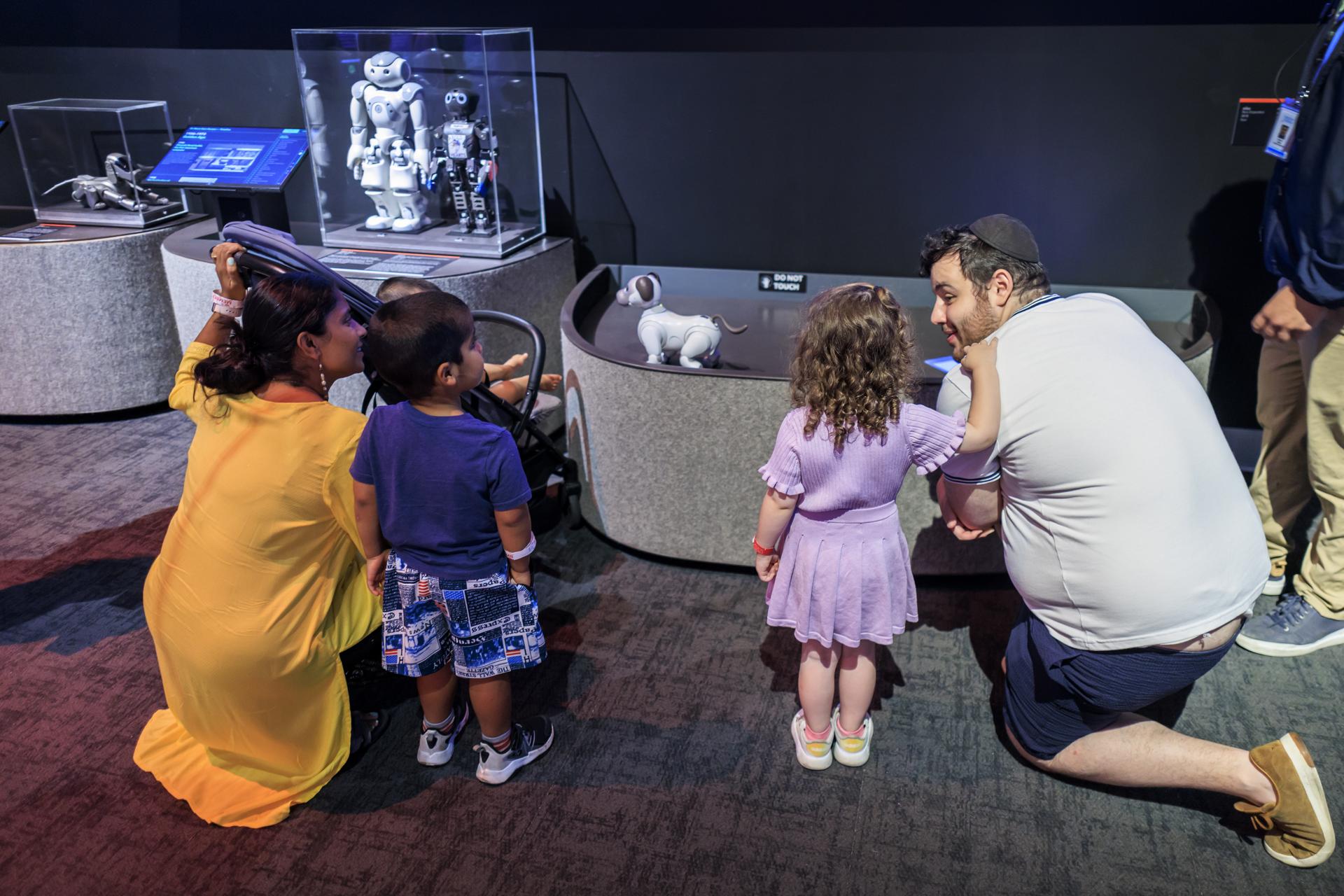 Viajar con niños a Miami: consejos, lugares imperdibles y experiencias únicas