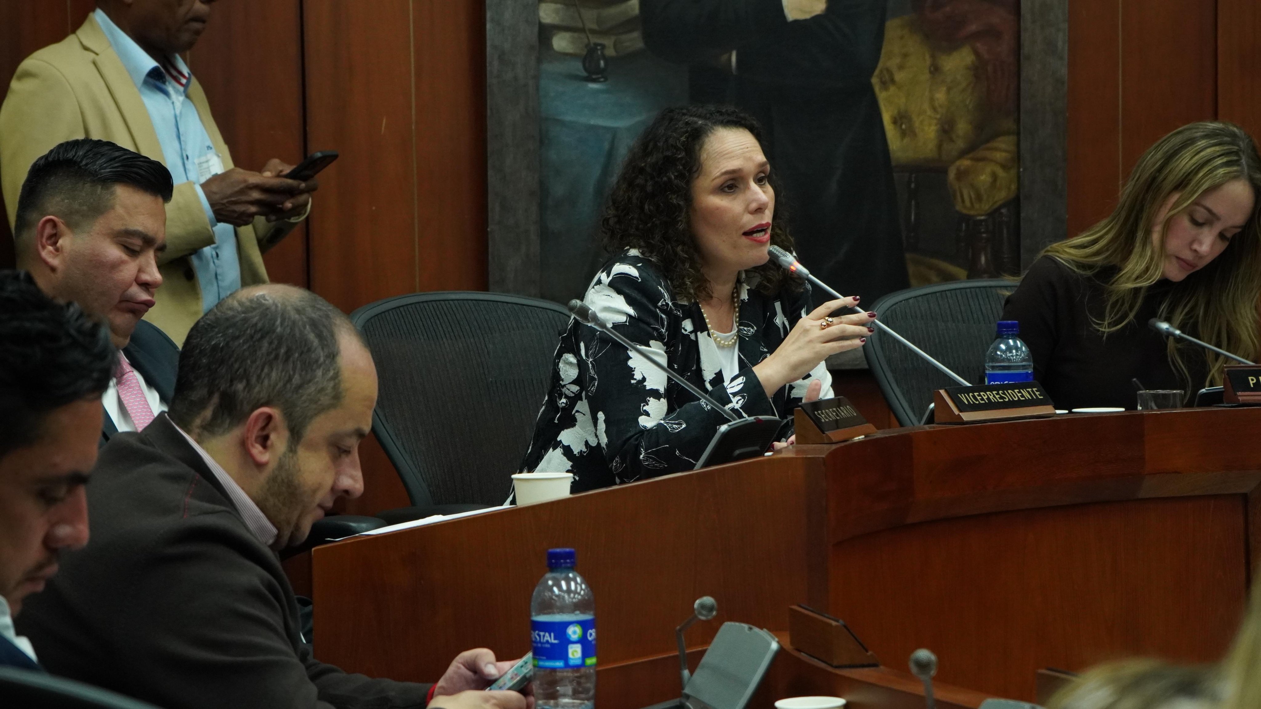 Ministra de Transporte, María Constanza García.