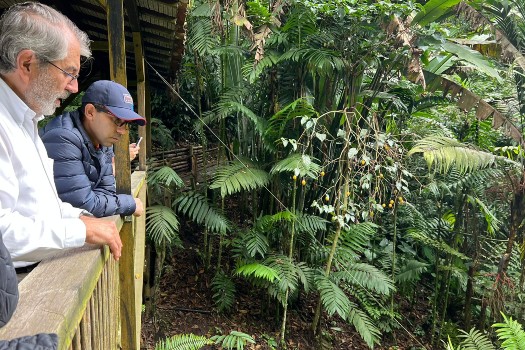 CAR Cundinamarca busca alianzas para desarrollar dos jardines botánicos y un mariposario