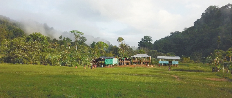 Silencio y confinamiento en las comunidades del río Bojayá